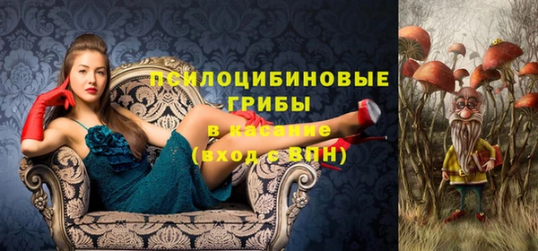 мескалин Баксан