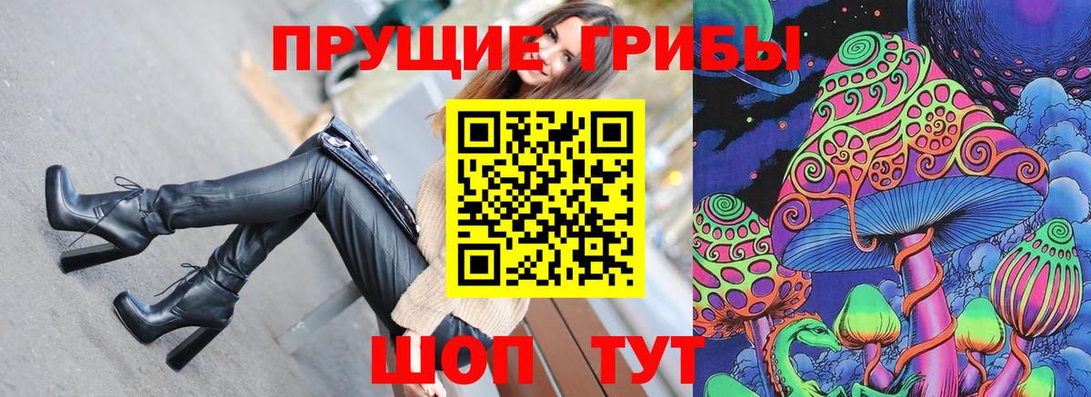 Псилоцибиновые грибы GOLDEN TEACHER Асино